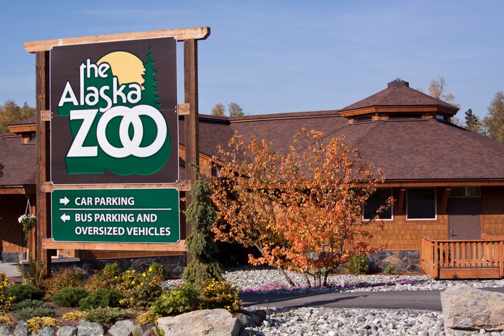 Alaska Zoo Anchorage Attractions & Things To Do